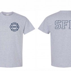 HANES COTTON SS BEEFY T-SHIRT- GRAY