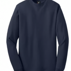 Beefy-T 100% Cotton LS T-Shirt